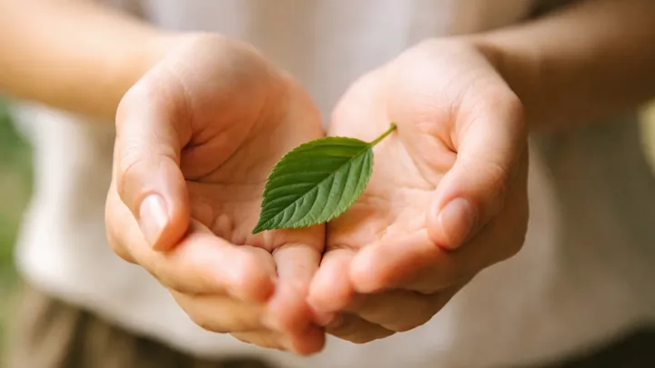 Hands gently protecting a young green sprout — hero visual for Essential Oils in Pregnancy and for Children: A Safety Guide